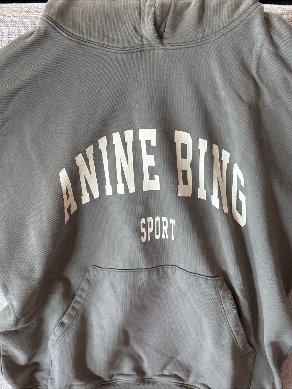 Anine Bing Sport Hoodie Washed Taupe Gray Oversized Graphic Sweatshirt